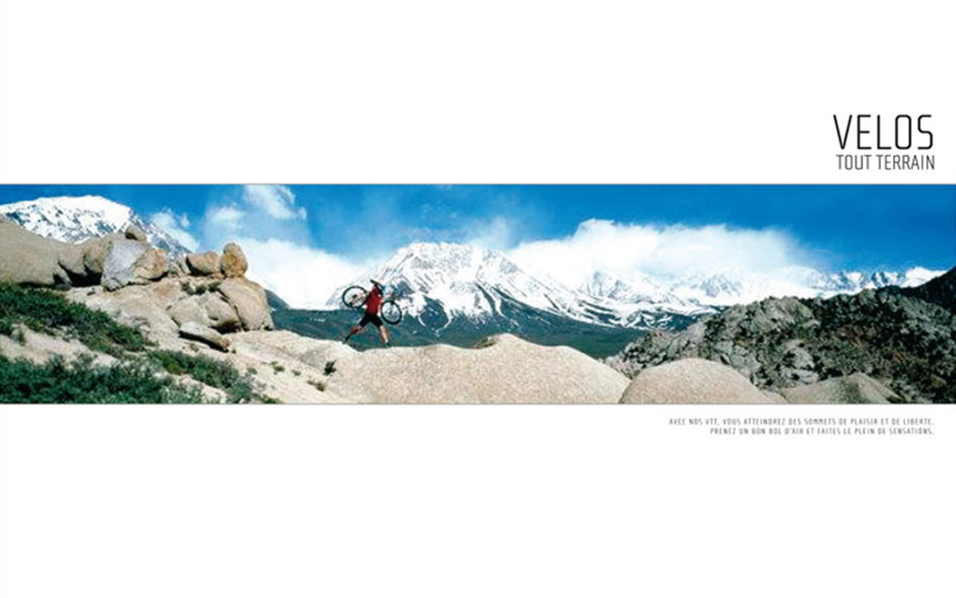 static cycle decathlon